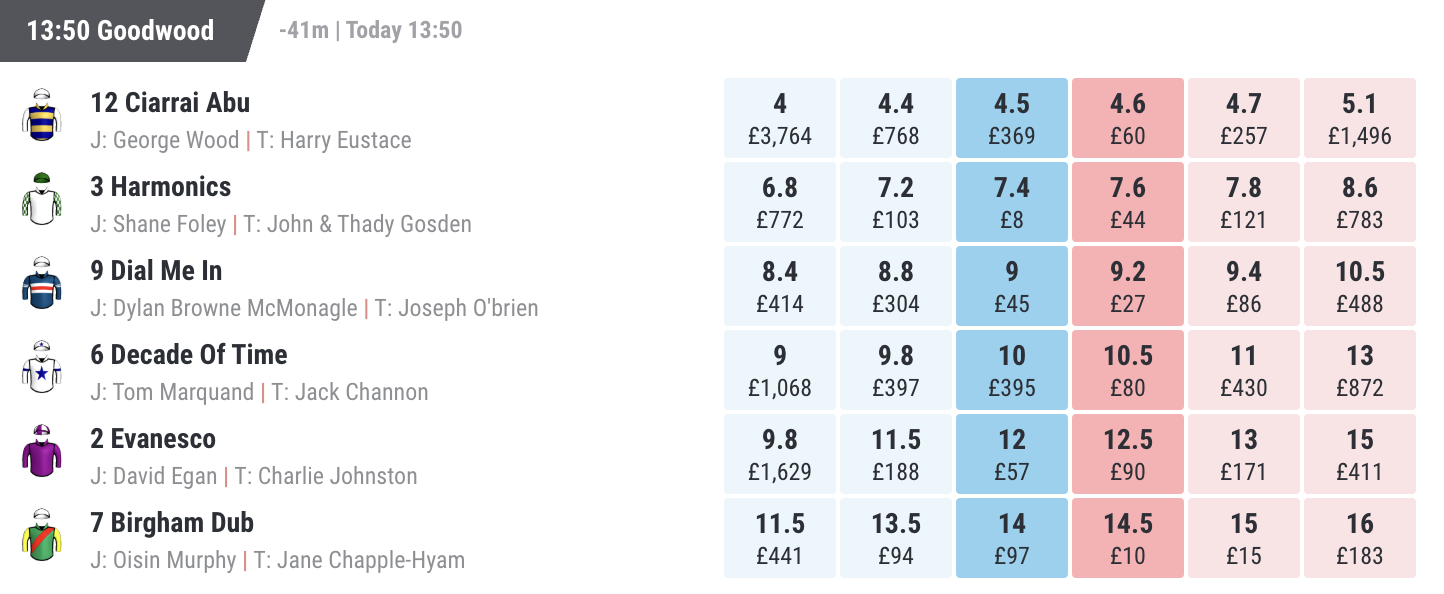 Screenshot of Matchbook's odds for a horse race, showing varying available liquidity for each selection and set of odds